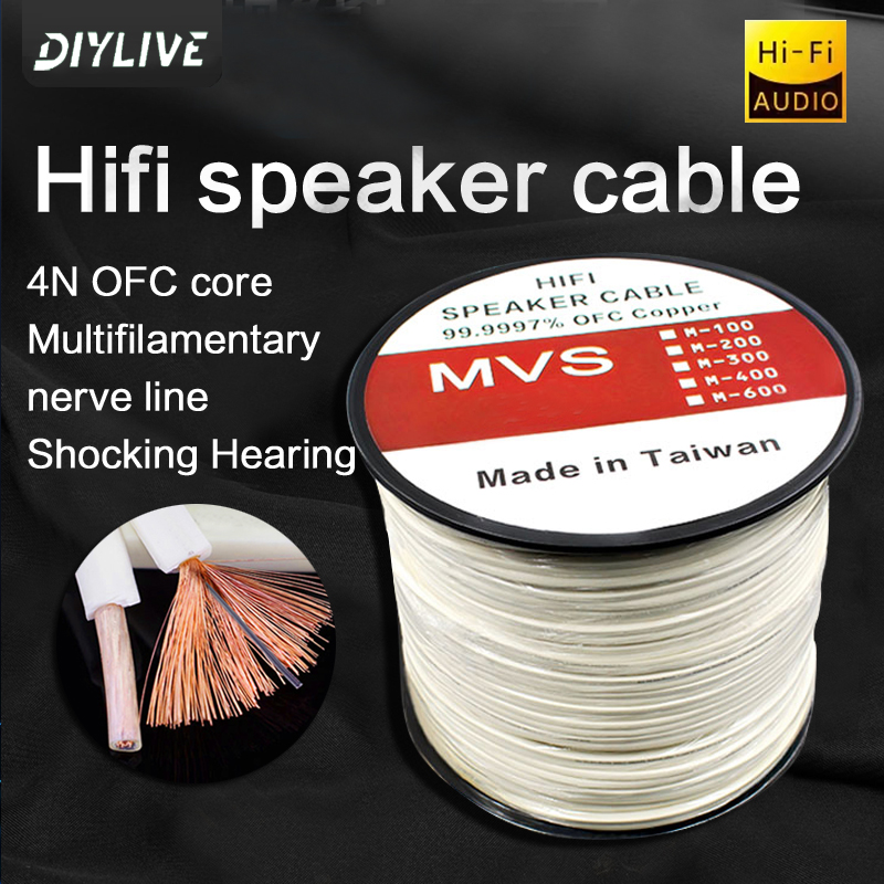 Home Cinema Xlr - DIYLIVE HiFi-luidsprekerlijn voor thuisbioscoop, autorenovatie, eindversterker,