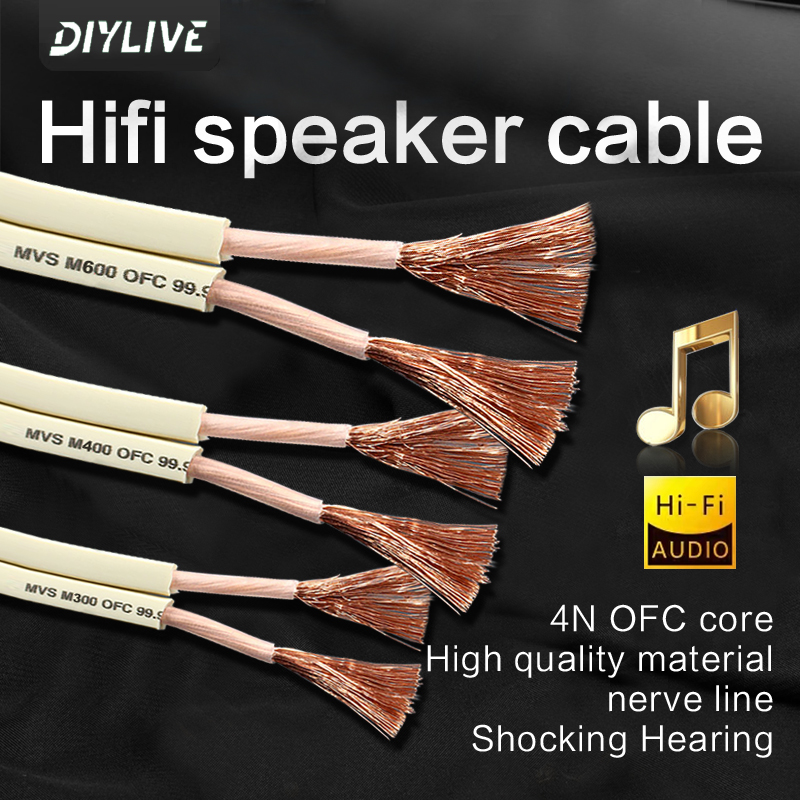 DIYLIVE HiFi-luidsprekerlijn v - Home Cinema Xlr recensie en prijs