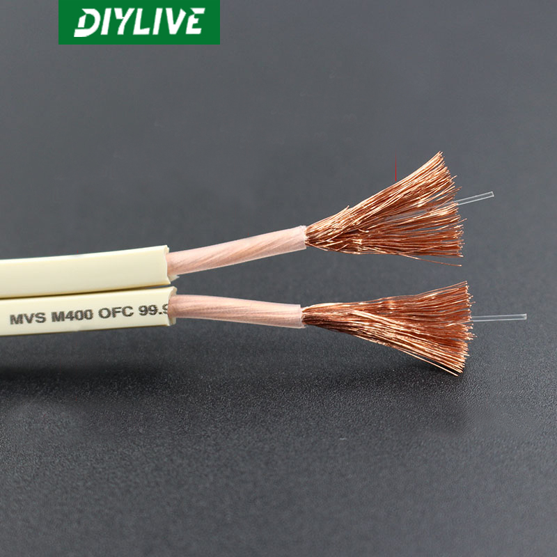 DIYLIVE HiFi-luidsprekerlijn v - Home Cinema Xlr recensie en prijs